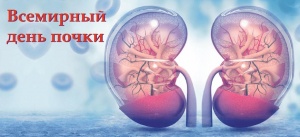 Всемирный день почки Всемирный день почки