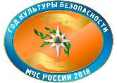 Продолжается Год культуры безопасности, объявленный МЧС России.