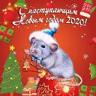 Оказание неотложной стоматологической помощи детскому населению в дни Новогодних каникул