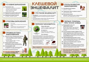 Клещевой энцефалит и ГЛПС