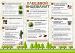 Клещевой энцефалит и ГЛПС