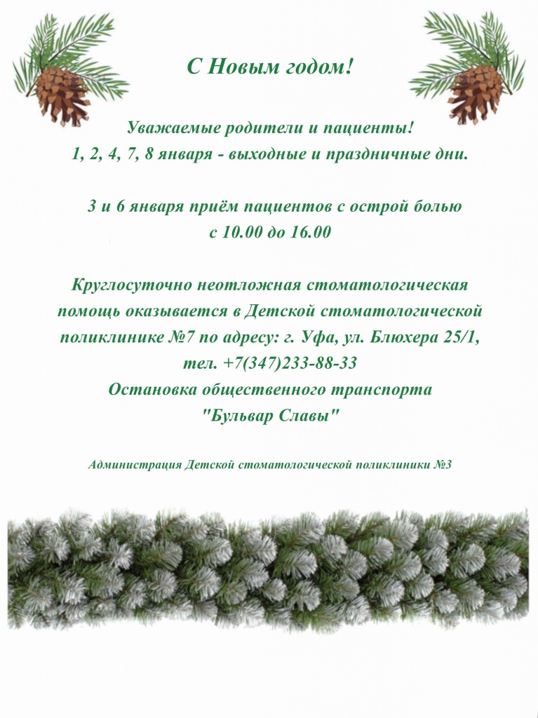 Объявление рабочие дни в НГ 2020.jpg
