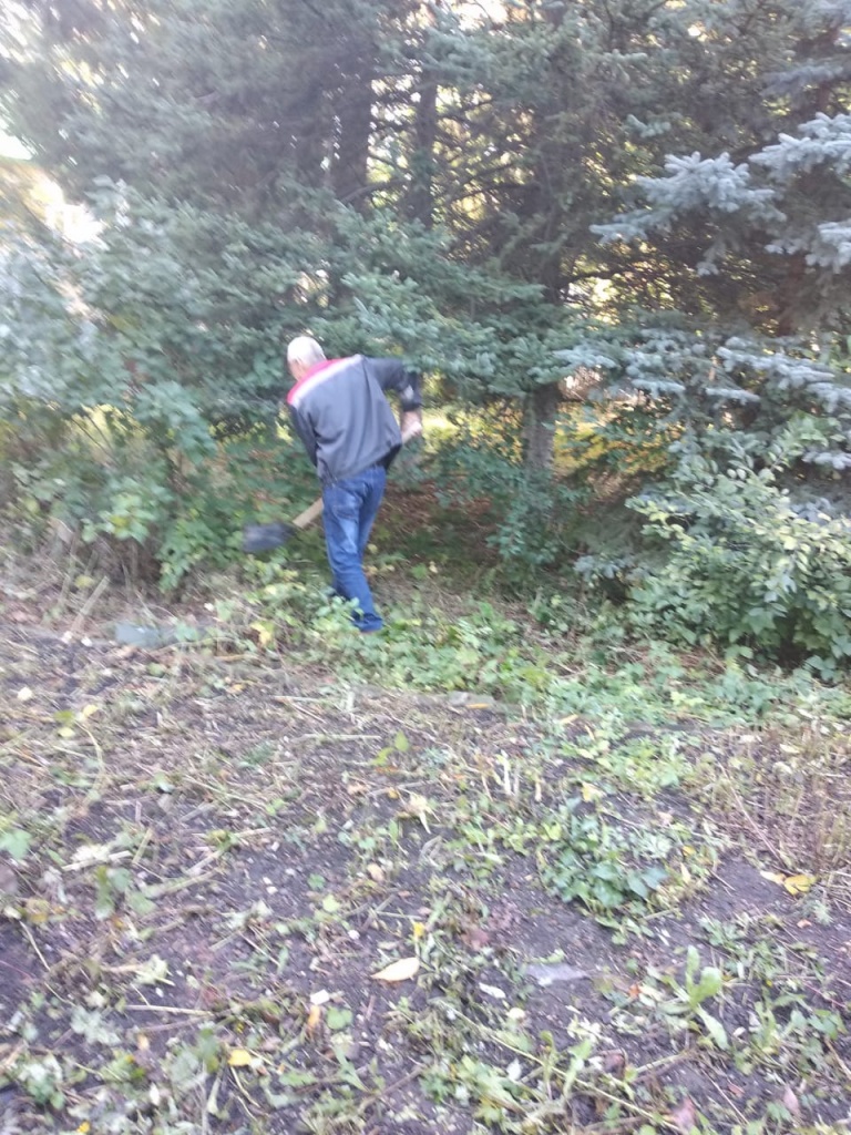 IMG-20180929-WA0001.jpg